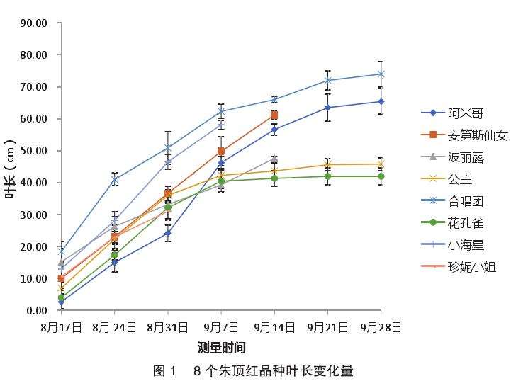 深圳朱顶红的验材料生长适应观测