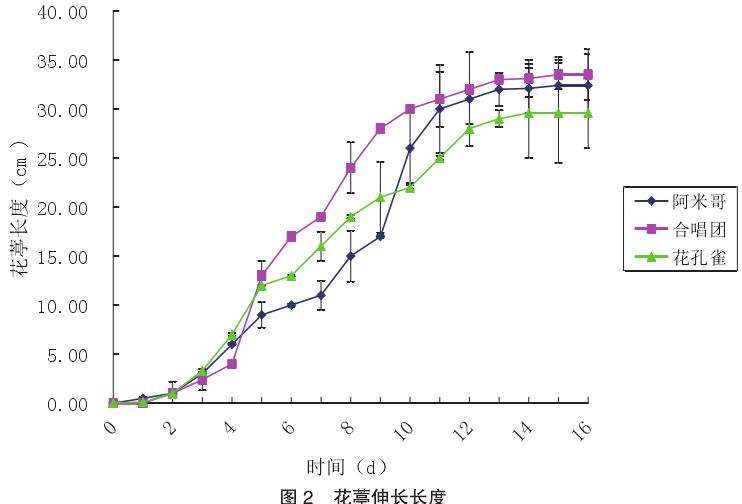 深圳朱顶红的验材料生长适应观测
