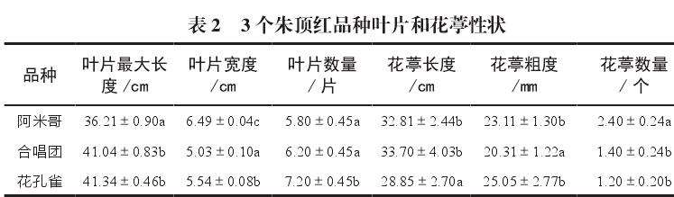 深圳朱顶红的验材料生长适应观测