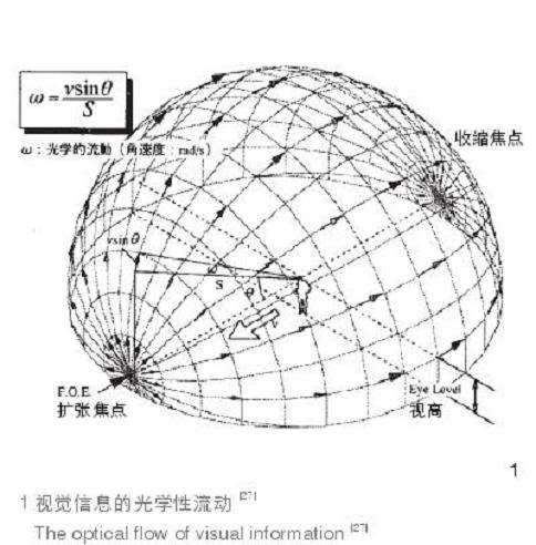 3个视觉生态学视角下的园林游观体验