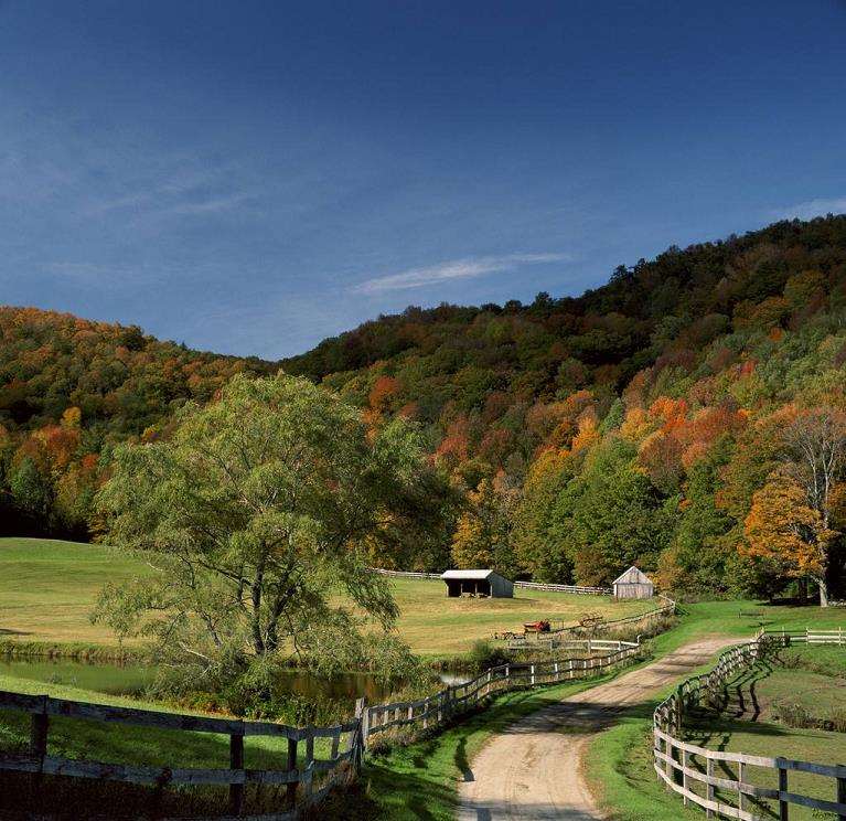 4个景观风貌图像的高频细节和幂律特征