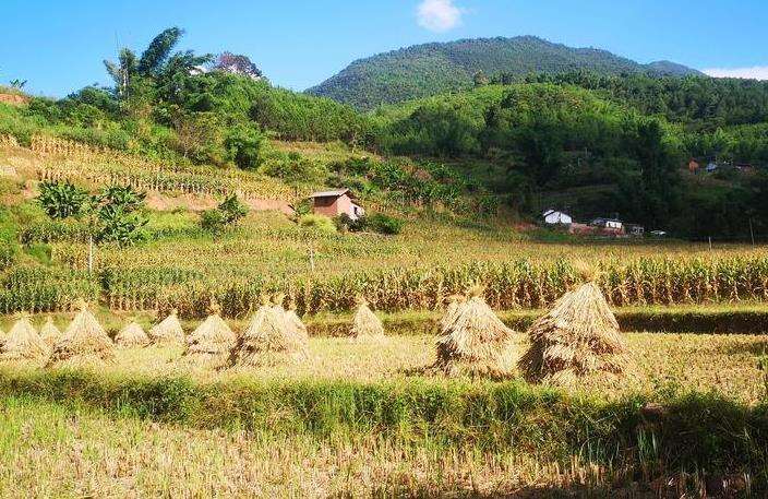 基于时空分布特征的保护地声景规划与管控