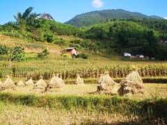 基于时空分布特征的保护地声景规划与管控