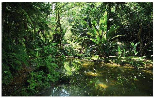 孢子沟生境怎么修复的4个措施 图片