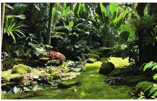 孢子沟生境怎么修复的4个措施 图片