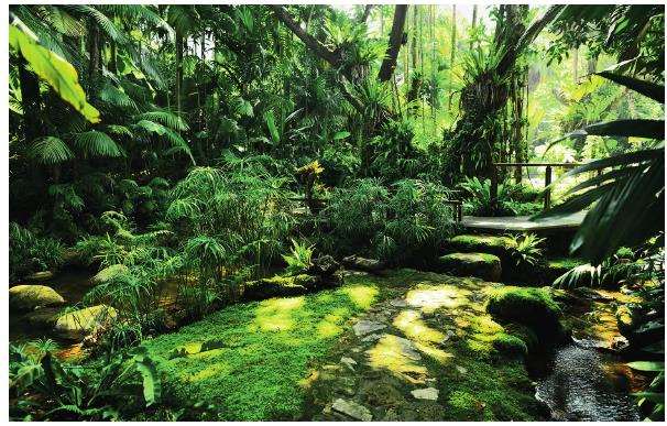 孢子沟生境怎么修复的4个措施 图片