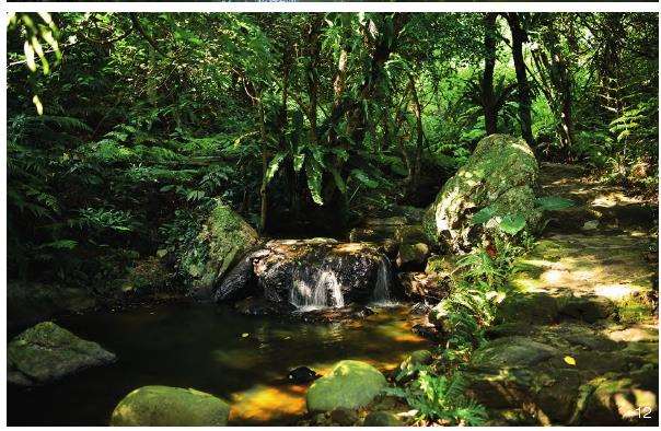 孢子沟生境怎么修复的4个措施 图片