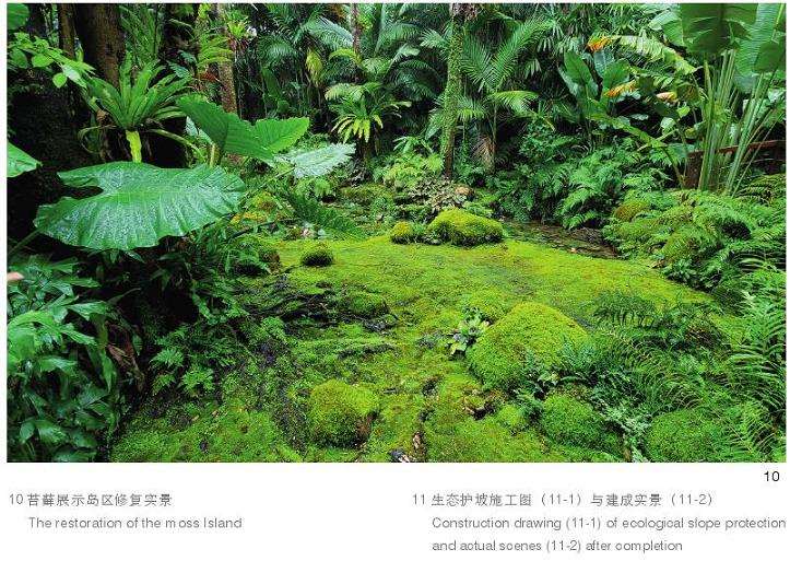 孢子沟生境怎么修复的4个措施 图片