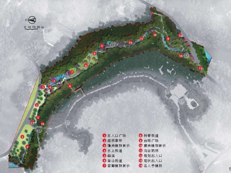 深圳孢子沟改造前的3个植被状况