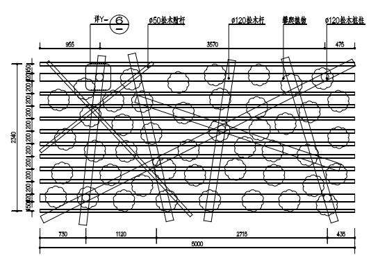 深圳孢子沟改造前的3个植被状况