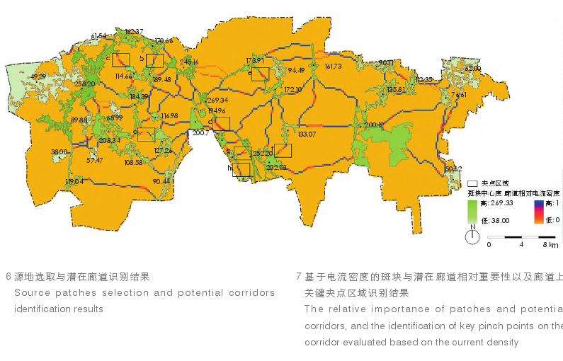 城市生物多样性优先保护与廊道识别的2个结果