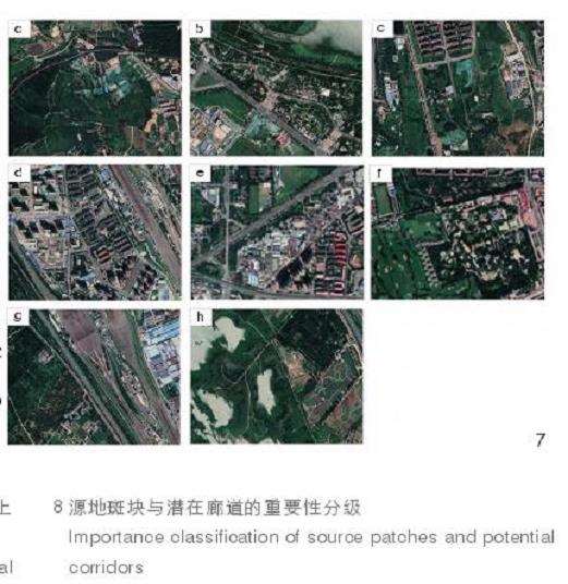 城市生物多样性优先保护与廊道识别的2个结果