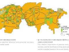 城市生物多样性优先保护与廊道识别的2个结果