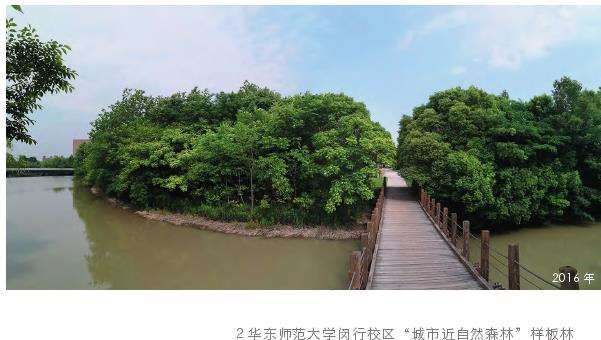 城市生态建设误区 绿化中的数字游戏