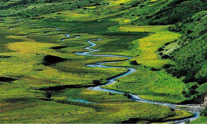面向区域自然保护地整合优化的风景特质评价步骤