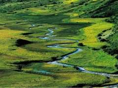 面向区域自然保护地整合优化的风景特质评价步骤
