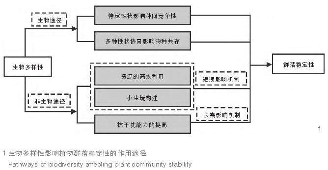 生物多样性影响城市绿地植物群落稳定性的主要途径