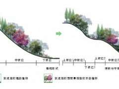 基于生物多样性的城市绿地植物群落构建原则与方法