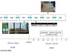 华北陆生园林植物去除道路径流污染物的实证研究