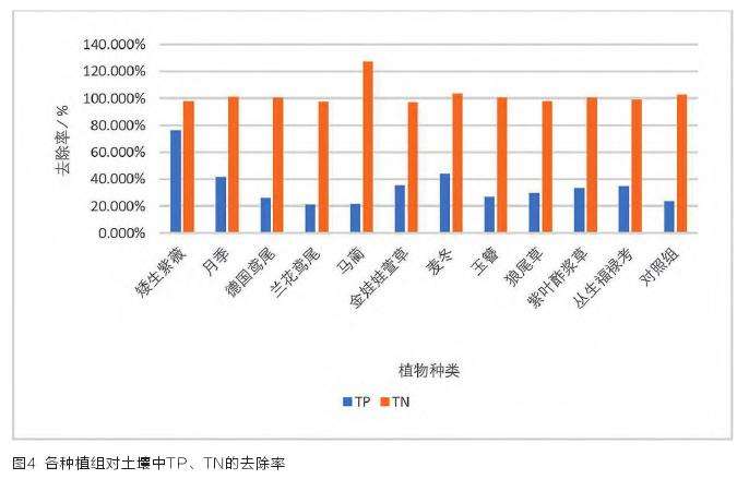 植物去除径流和土壤中TN TP的生物学机理