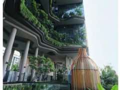 城市立体绿化的3个创新探索