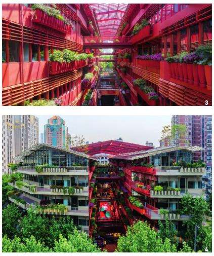 恒基旭辉天地立体绿化的3个难点 图片