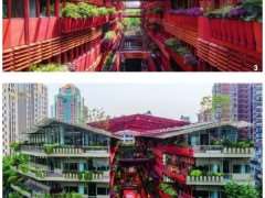 恒基旭辉天地立体绿化的3个难点 图片