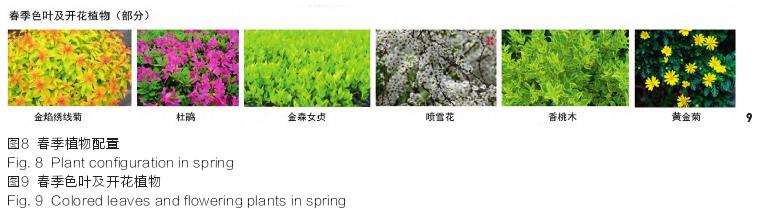 恒基旭辉天地立体绿化的3个难点 图片