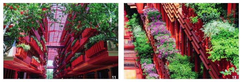 恒基旭辉天地立体绿化的3个难点 图片