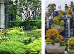 天安千树怎么立体绿化的6个步骤 图片