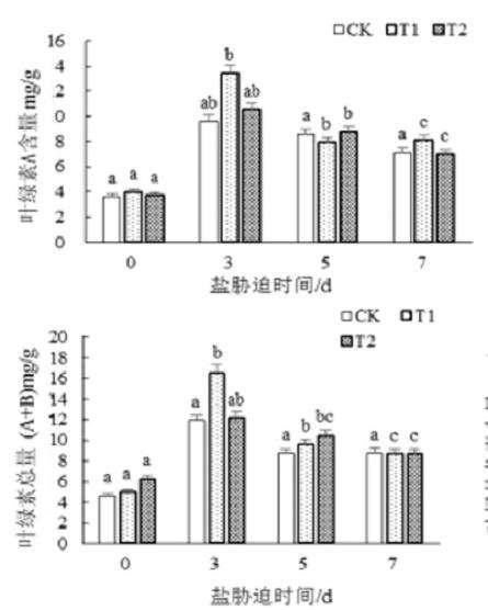 独角金内酯对盐胁迫下月季植株生长的3个影响