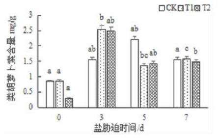 独角金内酯对盐胁迫下月季植株生长的3个影响