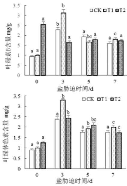 独角金内酯对盐胁迫下月季植株生长的3个影响