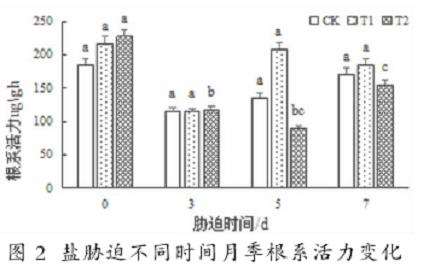 独角金内酯对盐胁迫下月季植株生长的3个影响