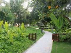 风景林景观质量评价的理论方法与实践方式