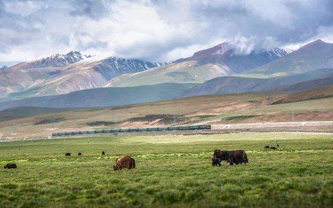 青藏高原生态环境的3个特殊性