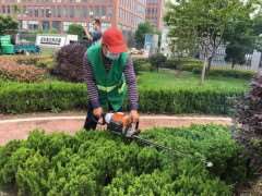 园林植物修剪的4个工作策略和技术措施