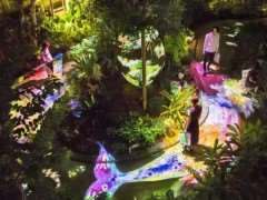 数字景观技术在植物后期养护中的3个作用