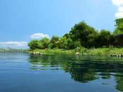 河流生态修复研究的2个热点