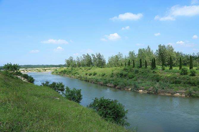 河流修复中的3个生物多样性保护