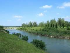 河流修复中的3个生物多样性保护