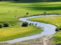 河流修复中的3个土地利用规划