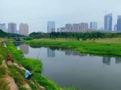 河流修复中的3个绿色基础设施