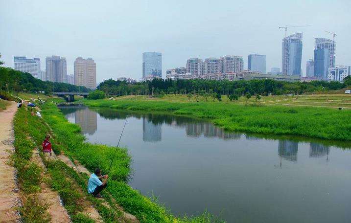 河流修复中的3个绿色基础设施