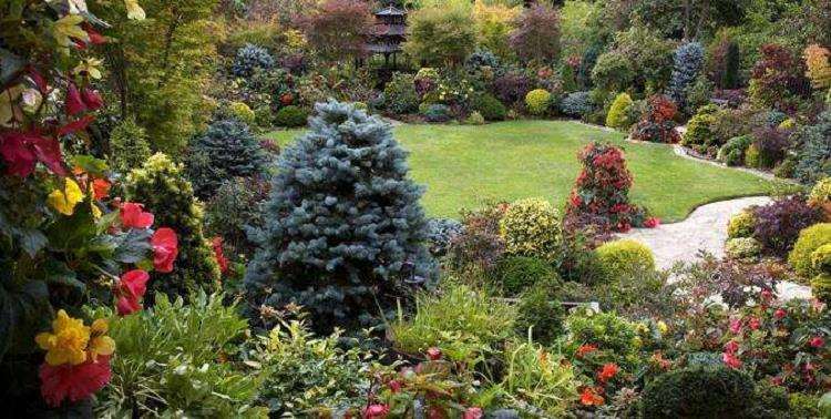 园林植物低温胁迫下的4个响应机制