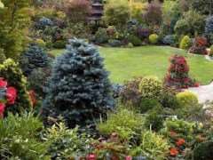 园林植物低温胁迫下的4个响应机制