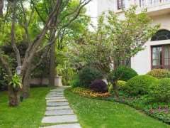 低温胁迫对园林植物的3个危害