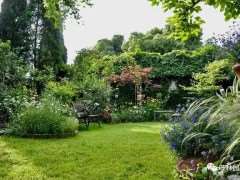 形式美学法则在居住区乔+灌+草植物组团配置中的应用实践