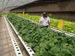 形式美法则在居住区植物季相中的运用