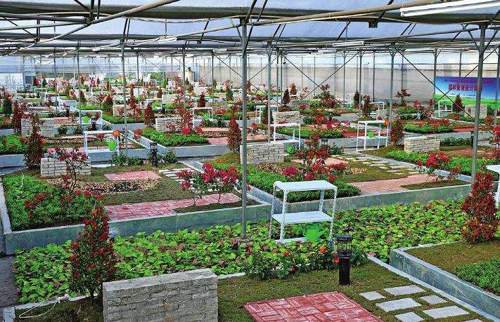 嘉兴职业技术学院园艺技术专业的3个培养计划